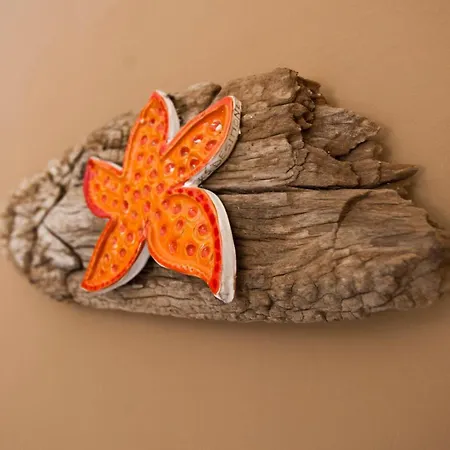 招待所 Salamureci